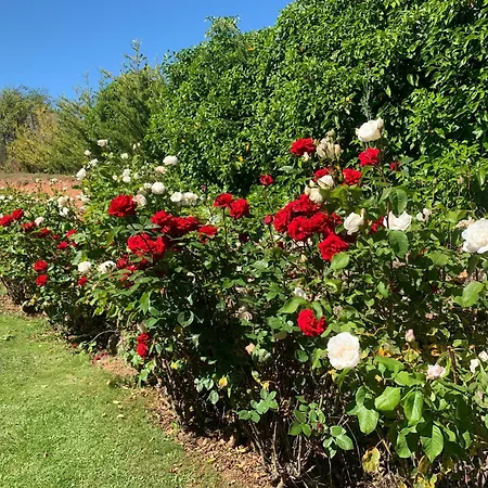 El Mirador Del Cid Mecerreyes