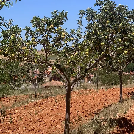 El Mirador Del Cid *