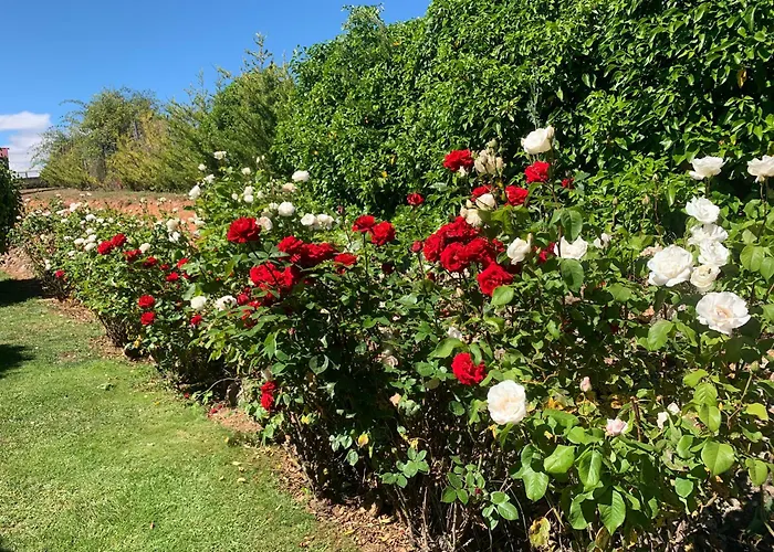 El Mirador Del Cid Mecerreyes