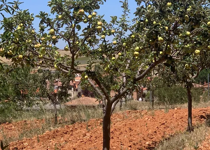 El Mirador Del Cid *